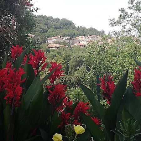 Agrifoglio B&B Con Giardino Aritzo Extérieur photo