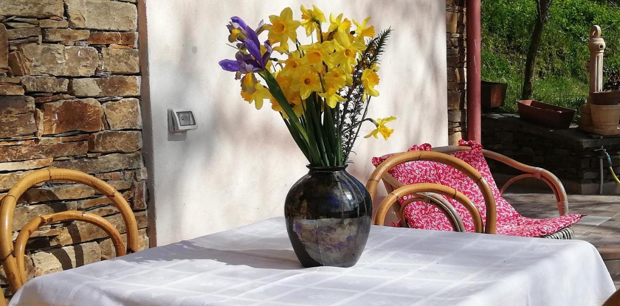 Agrifoglio B&B Con Giardino Aritzo Extérieur photo