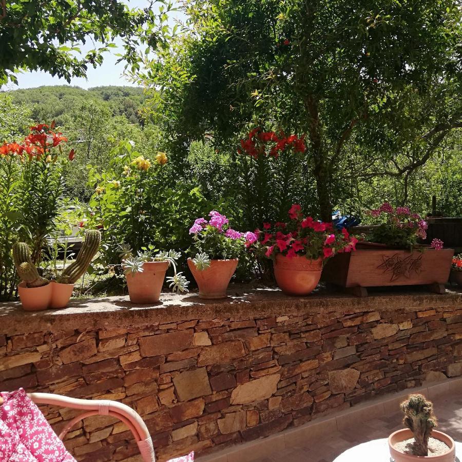 Agrifoglio B&B Con Giardino Aritzo Extérieur photo