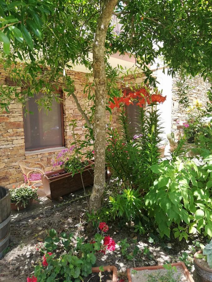 Agrifoglio B&B Con Giardino Aritzo Extérieur photo