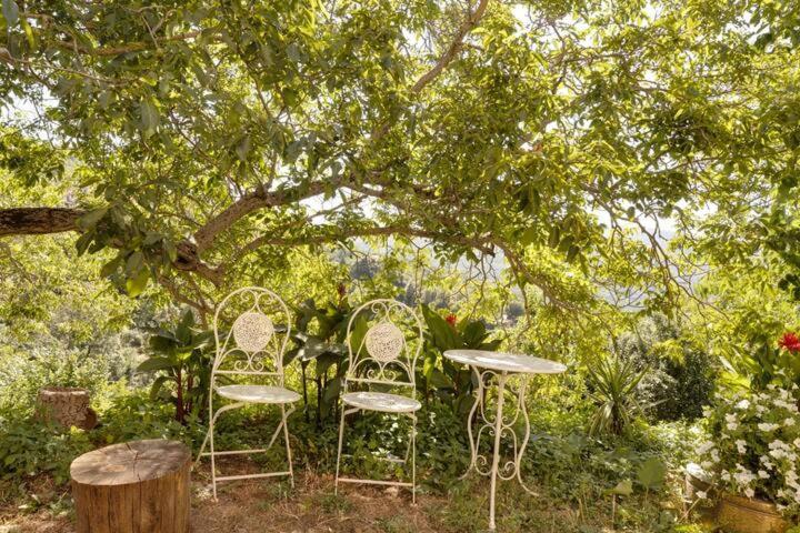 Agrifoglio B&B Con Giardino Aritzo Extérieur photo